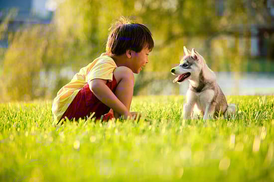 Dog and kid sit together in grass outside