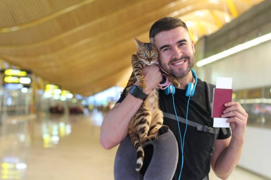 international traveler holding passport and cat