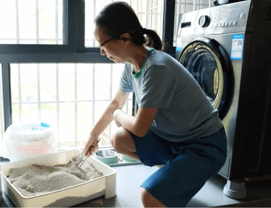 cat business owner cleaning litter box and doing laundry