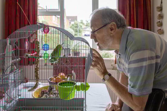 older man with parakeet and cage filled with toys and treats