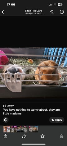 Titch's Pet Resort update from owner