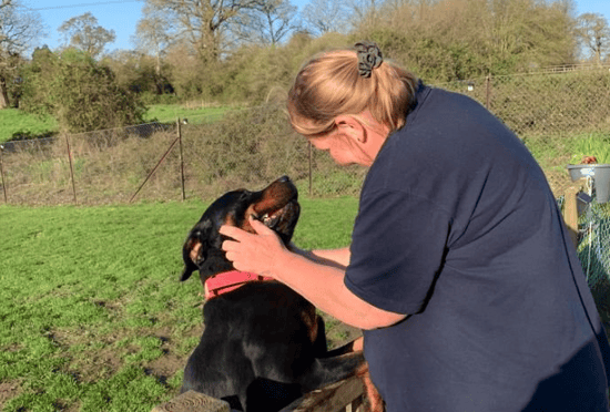 Sharon Wise caresses a dog at Wheats Farm Boarding Kennels