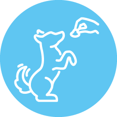 Secure Payments